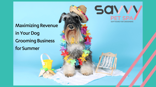 Maximizing Revenue in Your Dog Grooming Business for Summer