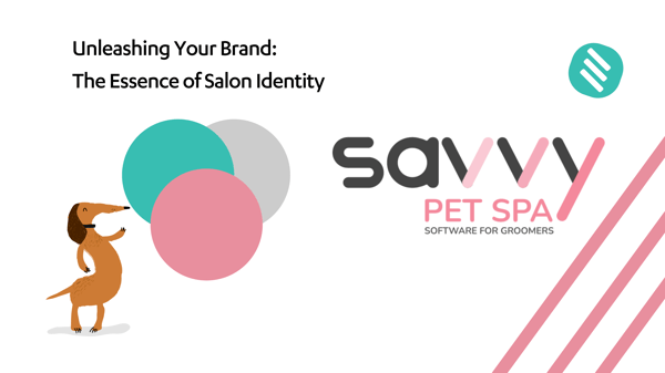 Unleashing Your Brand: The Essence of Salon Identity